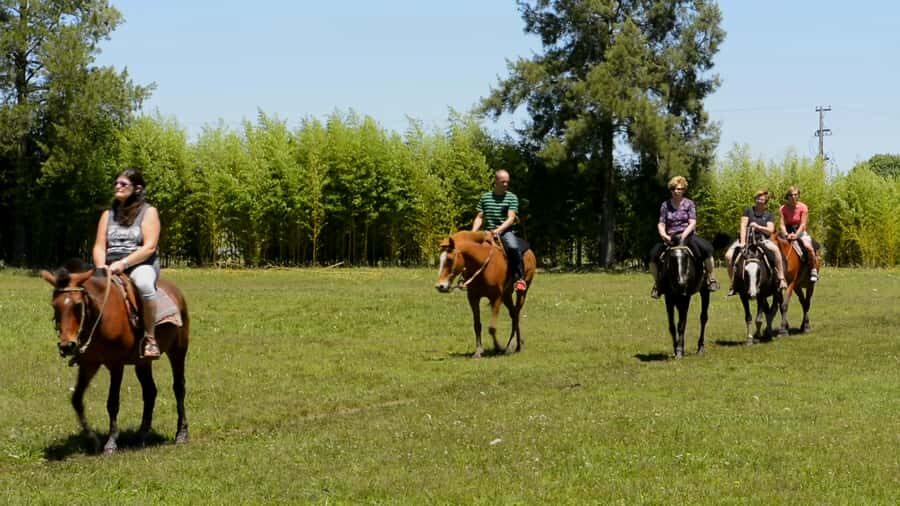 Buenos Aires: Don Silvano Ranch Gaucho Day Trip - Pampas to gauchos: why this ranch day feels different