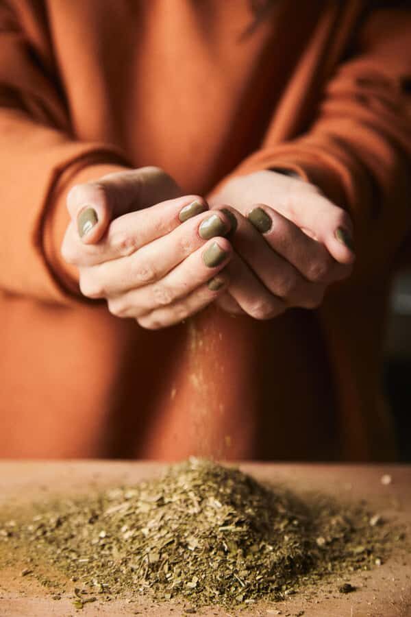 Buenos Aires: Mate Workshop y Otras Yerbas - Yerba tasting 4 ways: what changes when variety, production, and cultivation shift