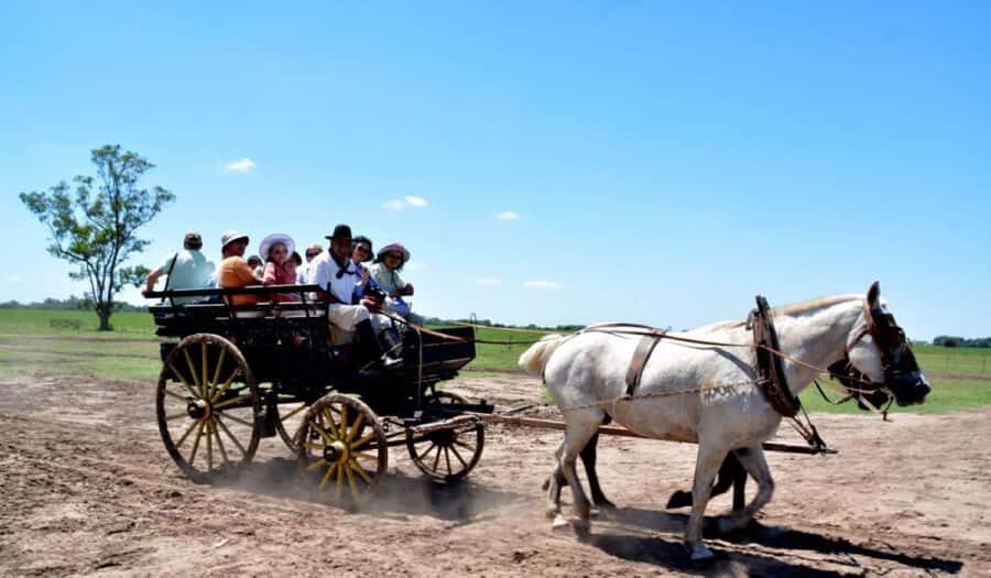 Buenos Aires: Santa Susana Ranch Day Tour, BBQ & Shows - Santa Susana Estancia: What You’re Really Paying For