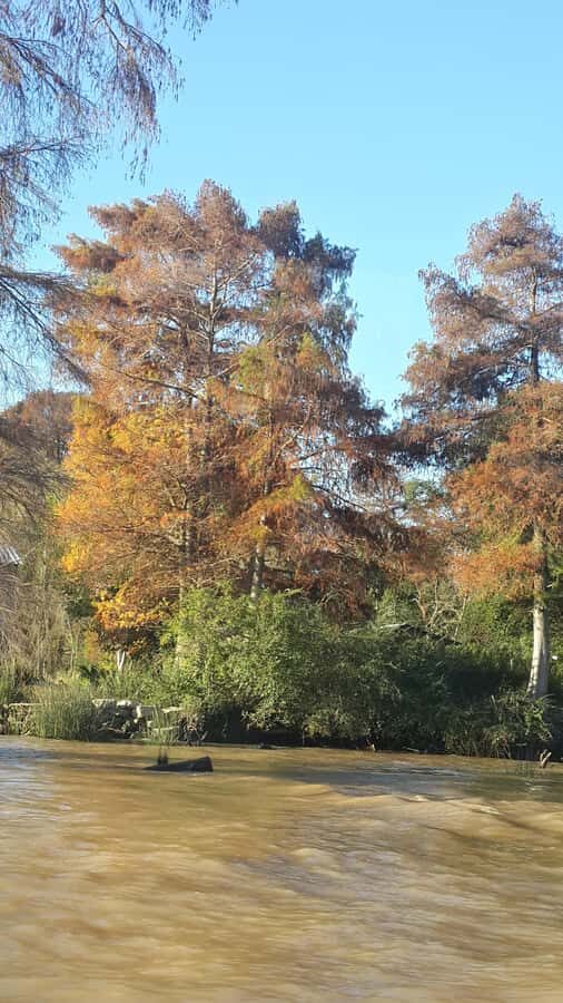 Buenos Aires: "Ticket"- 2hs of Navigation Premium to Tigre - Entering the Paraná Delta: channels, stilt houses, and island life