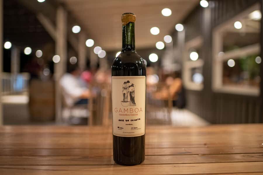 Buenos Aires: Wine Tasting and Lunch at Bodega Gamboa - FAQ