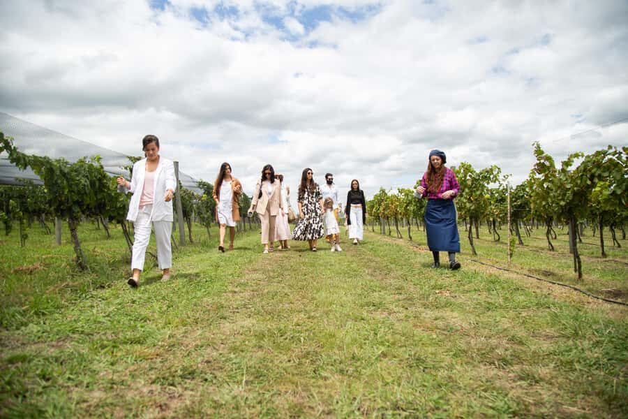 Buenos Aires: Wine Tasting & Lunch at Gamboa Vineyard - Price and value: does $220 make sense?