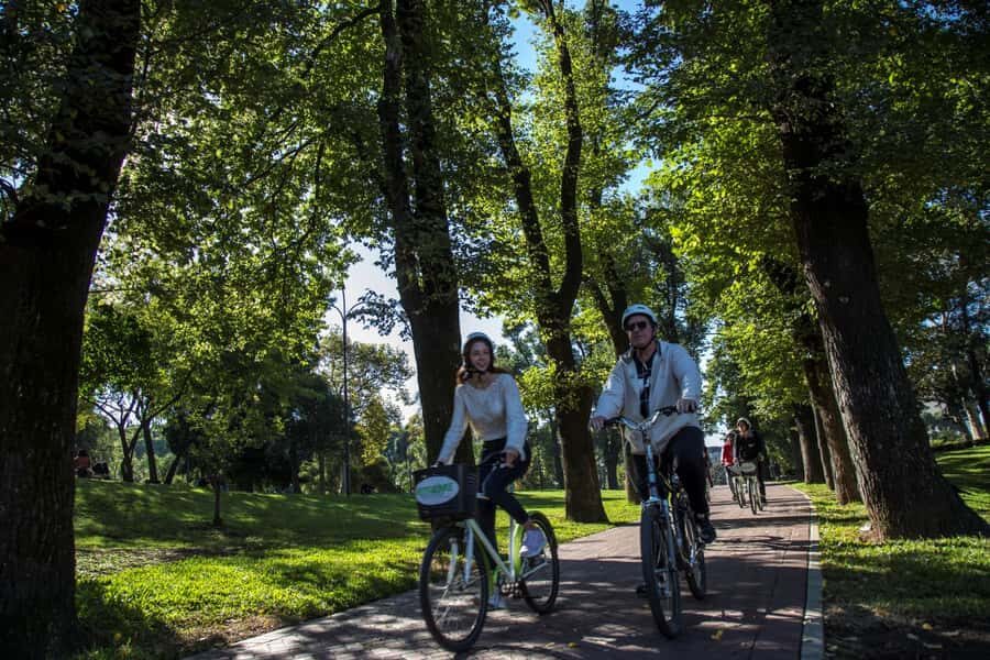 City Bike Tour in Palermo and Recoleta - Bosques de Palermo and the Rosedal: Green Air and Photo Stops That Don’t Feel Staged