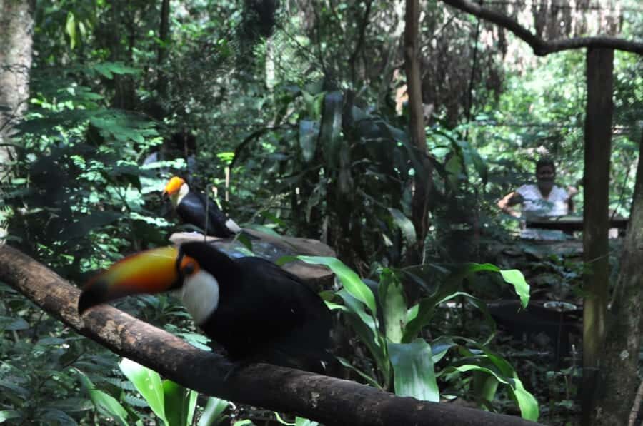 From Buenos Aires: 3-Day Iguazu Falls Tour with Airfare - Entering Iguazu: what you’re really paying for