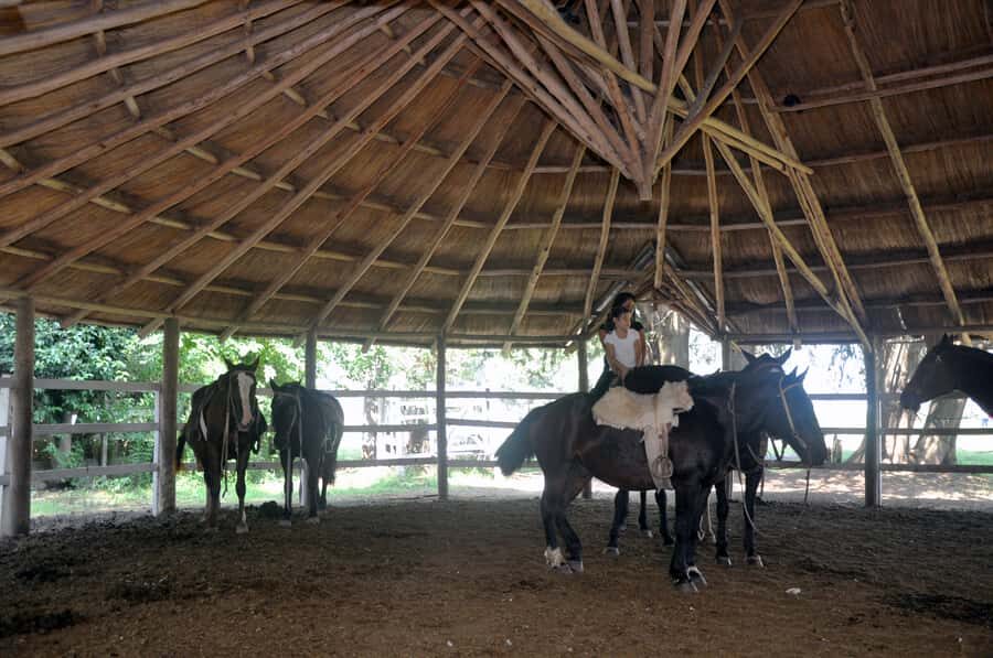 From Buenos Aires: Estancia Don Silvano Tour with Lunch. - Creole skill demonstrations and gaucho carriages: where photos and context meet