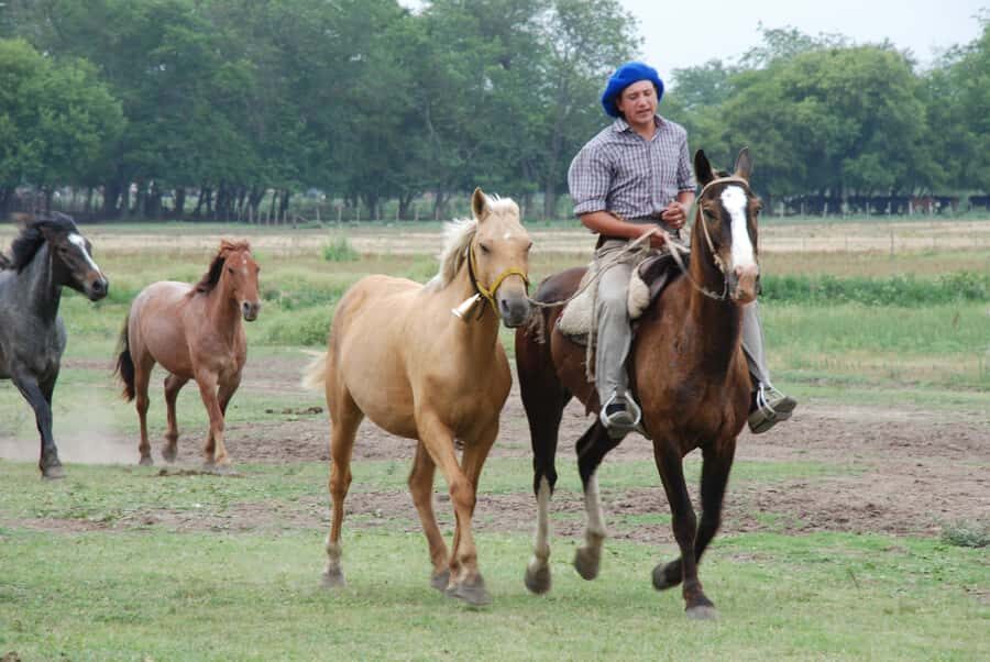 From Buenos Aires: Estancia Don Silvano Tour with Lunch. - What the day feels like in practice: the pacing and expectations tradeoff