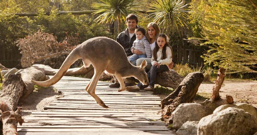 From Buenos Aires: Full-Day Temaiken Eco Park - Temaiken Biopark: what the park experience really feels like