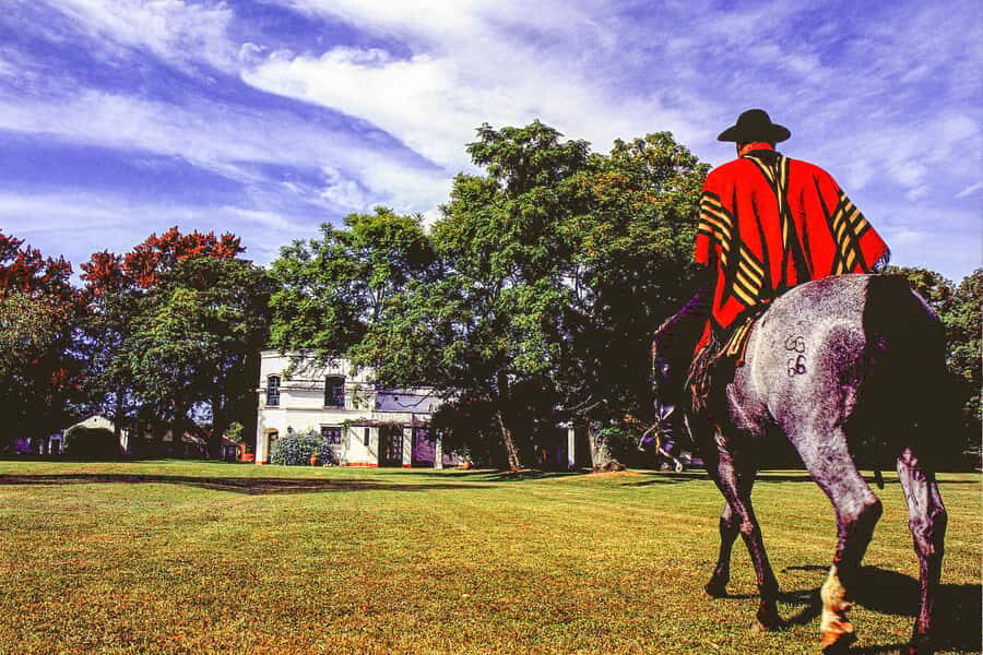 From Buenos Aires: Gaucho and Ranch Day Tour - Getting out of Buenos Aires: San Antonio de Areco without the stress