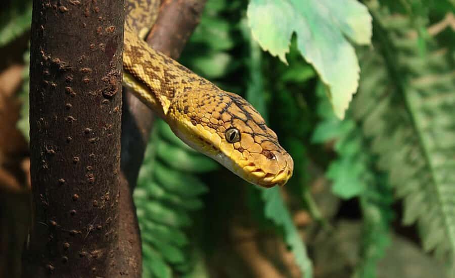 From Iguazú: Explore natural diversity at the Biocenter - What to watch out for: guide timing and language mix