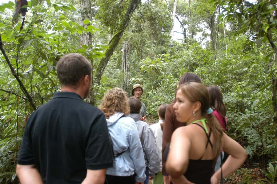 Half-Day Iguazú Forest Adventure - Key Points Before You Go