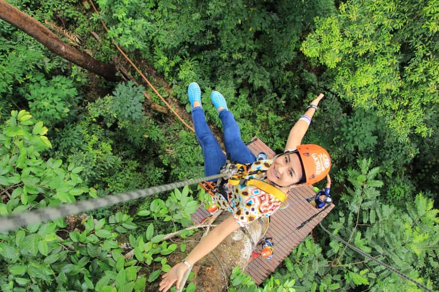Half-Day Iguazú Forest Adventure - Trekking under the canopy: narrow paths and bird noise