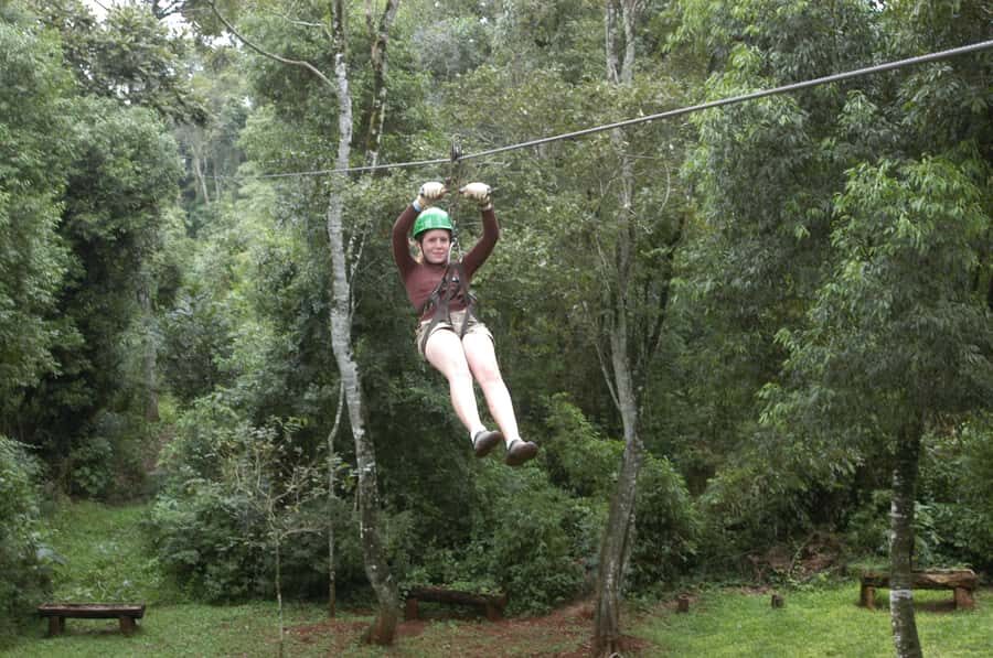 Half-Day Iguazú Forest Adventure - Who this half-day adventure fits best