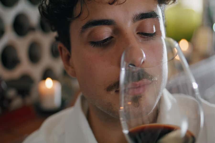 Premium Argentinian Wines and Malbec Tasting Experience - When to book: best fit for your travel style