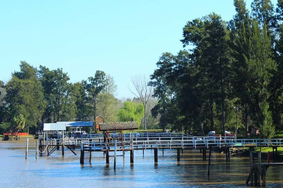 Tigre: River Delta Panoramic Boat Tour - Price and Value: Is $18 a Good Deal for Tigre Delta Views?