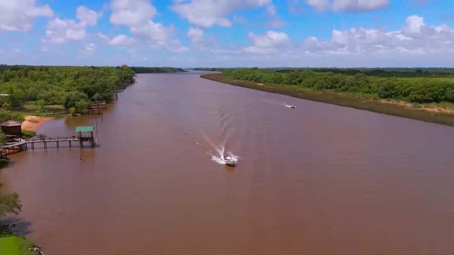 Tigre: Safari Náutico en Tigre/ Biosphere Reserve Boat Tour - Río de la Plata photo stop: seeing a different water world